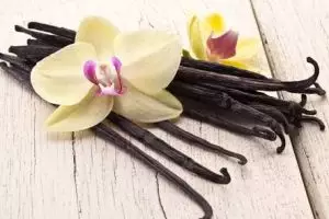 Ini manfaat vanila untuk kesehatan kulit yang jarang orang tahu