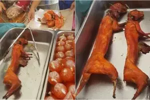 Makanan yang dijual pedagang ini bikin heboh, hewan apa ya itu?
