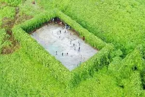 Potret lapangan futsal di tengah hutan ini viral, istimewanya apa ya?