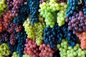 Beda warna anggur beda manfaat kesehatannya, ini lho penjelasannya