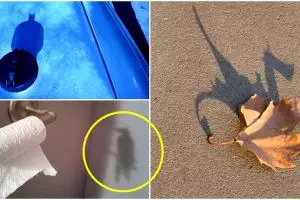 15 Foto bayangan ini kerennya bikin pengen lihat berkali-kali