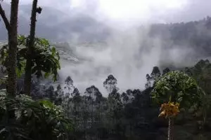 Berikut daftar korban letupan kawah Sileri Dieng, Banjarnegara