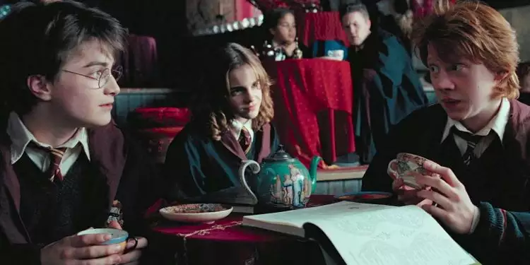 16 Seleb ini nggak kamu sadari ternyata ikut main di film Harry Potter