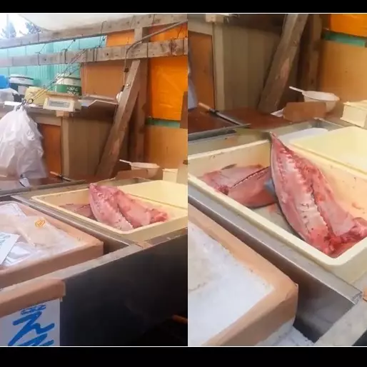 Video ikan sudah dibelah dan dipotong kepalanya masih loncat-loncat