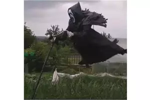 Orang-orangan sawah ini nakutin maksimal, yang buat kreatif banget nih