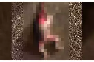 Mengenaskan, bayi tanpa kepala ini dibuang dekat pabrik