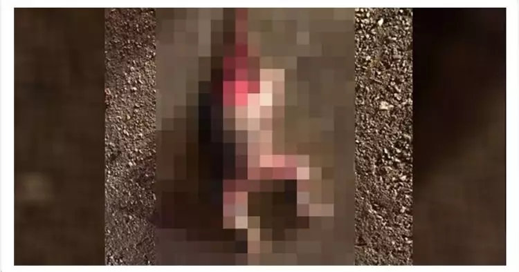 Mengenaskan, bayi tanpa kepala ini dibuang dekat pabrik