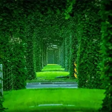 Kamu bakal kaget rahasia di balik taman tengah kota di China ini