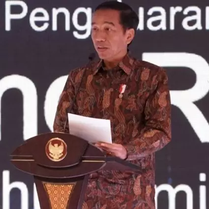 Ini kata Presiden Jokowi soal rencana pemindahan ibu kota