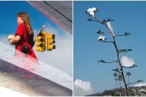 10 Karya foto ilusi ini siap bikin kamu tertipu sekaligus takjub