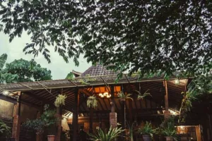 Desain kafe ini keren abis, pecinta kopi betah berlama-lama nih