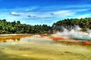 Ini alasan orang Indonesia tertarik berwisata ke Selandia Baru