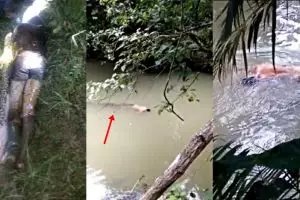 Makin sering hewan memangsa manusia, apa yang sebenarnya terjadi?