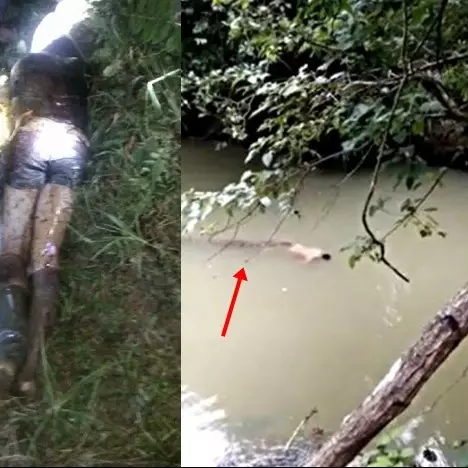 Makin sering hewan memangsa manusia, apa yang sebenarnya terjadi?