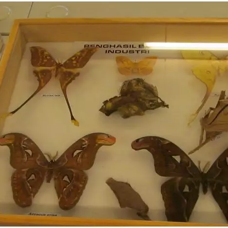 Ini 6 gaya interior kamar kos mahasiswa berdasarkan jurusan kuliahnya