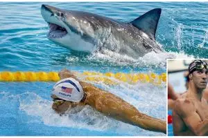 Michael Phelps balap renang lawan hiu, pemenangnya bikin kamu kaget