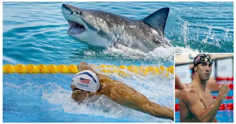 Michael Phelps balap renang lawan hiu, pemenangnya bikin kamu kaget