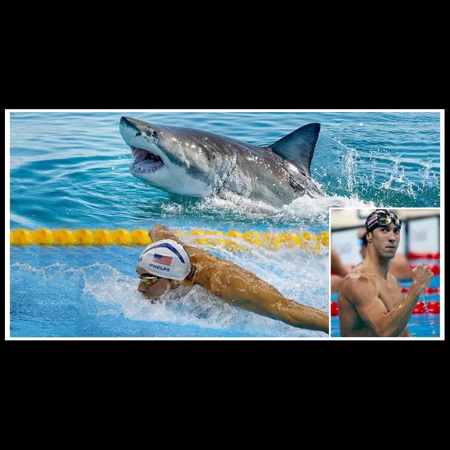 Michael Phelps balap renang lawan hiu, pemenangnya bikin kamu kaget