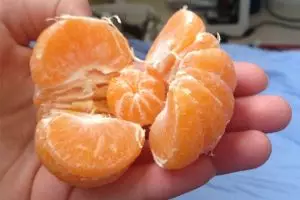  20 Orang ini dapat bonus saat makan, jeruk makan jeruk versi nyata