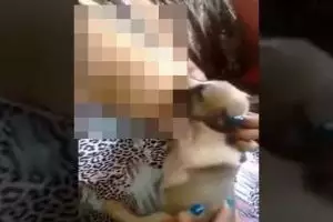 Diusir saat menyusui anjing, wanita ini tuntut restoran hingga Rp 14 M