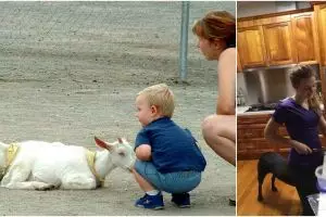 16 Foto ilusi optik ini bikin bingung, jadi seolah tak nyata