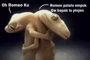 5 Meme obrolan cicak ini saking absurdnya bikin senyummu merekah