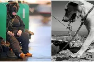 15 Foto hewan dipotret pas waktunya, momen perfect nih