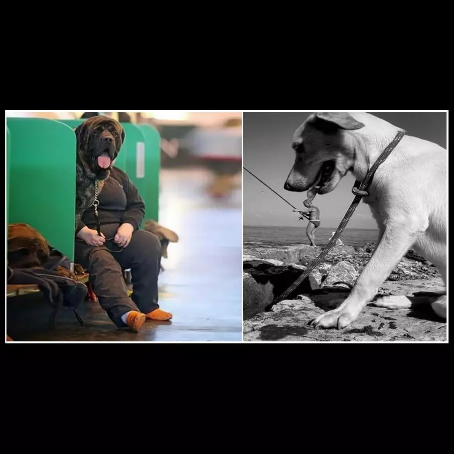 15 Foto hewan dipotret pas waktunya, momen perfect nih