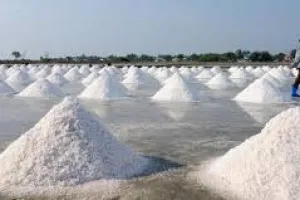 Mengenal jenis garam yang diproduksi di Indonesia