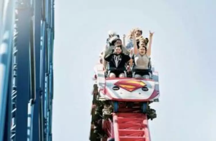 Pasangan ini menikah sambil naik roller coaster