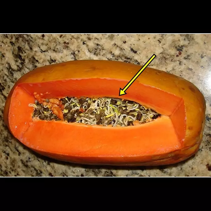 11 Foto ini bukti buah &amp; sayur bisa 'bermutasi' jadi mengerikan