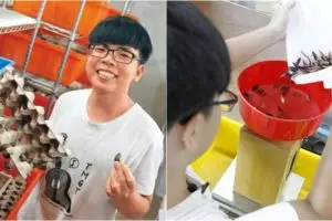 Berkat jualan kecoak, mahasiswa ini kantongi uang Rp 90 juta per bulan