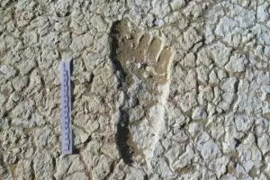 Jejak kaki umur 20.000 tahun ditemukan, fakta di baliknya bikin kaget