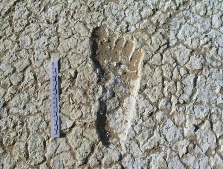 Jejak kaki umur 20.000 tahun ditemukan, fakta di baliknya bikin kaget