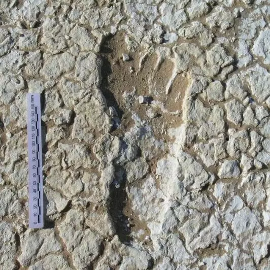 Jejak kaki umur 20.000 tahun ditemukan, fakta di baliknya bikin kaget