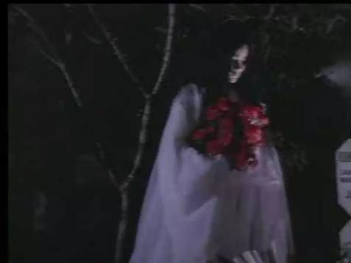 5 Bunga indah ini dipercaya bisa mengundang makhluk halus