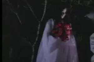 5 Bunga indah ini dipercaya bisa mengundang makhluk halus