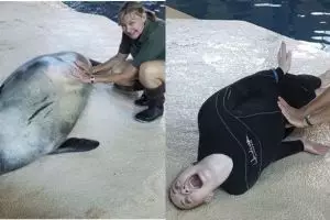 15 Foto lucunya penjaga kebun binatang tirukan aksi hewan, totalitas