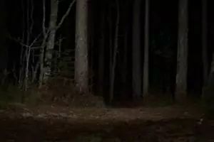 Mendaki saat gelap, rombongan ini rekam penampakan & tangis kuntilanak