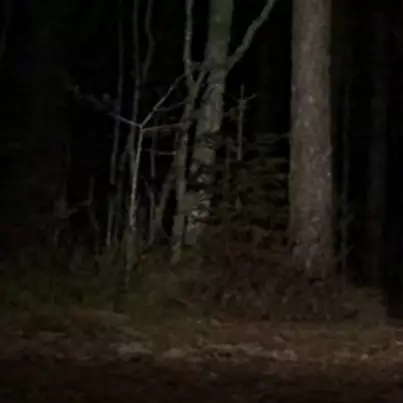 Mendaki saat gelap, rombongan ini rekam penampakan &amp; tangis kuntilanak