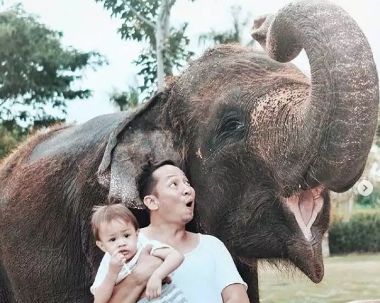 Kebun binatang di Bali sediakan santap prasmanan untuk para gajah