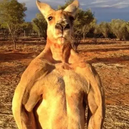 13 Hewan ini punya bagian tubuh yang mirip fisik manusia, waow