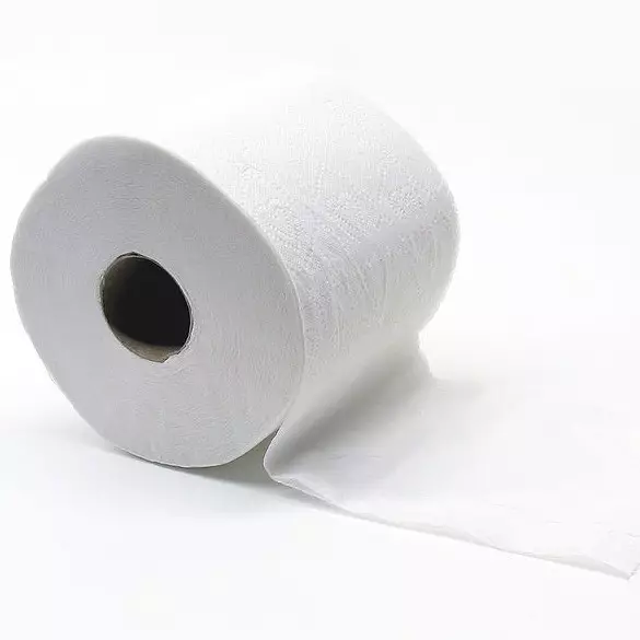 Dulu, menggunakan tisu toilet ternyata bisa sangat menyakitkan