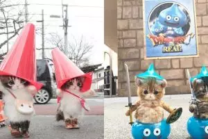 Kayak sungguhan, 10 boneka kucing didandani ala Jepang ini bikin gemes