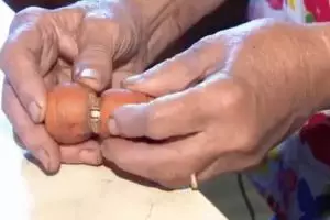 Kisah di balik wortel yang tumbuh di dalam cincin ini bikin terenyuh