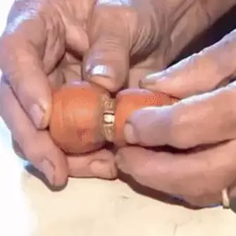 Kisah di balik wortel yang tumbuh di dalam cincin ini bikin terenyuh