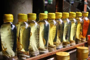 10 Potret wiski ini bikin kamu merinding, isinya serem banget