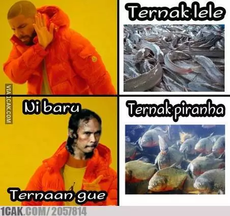 15 Meme kocak aksi gereget Mad Dog ini bikin nggak berhenti ketawa