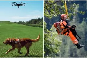 5 Aksi anjing dalam proses penyelamatan manusia ini bikin salut