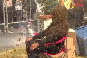 Sejam dikerumuni 100 ribu lebah, pria ini pecahkan rekor baru dunia